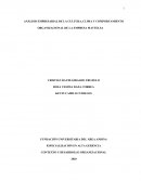 ANÁLISIS EMPRESARIAL DE LA CULTURA, CLIMA Y COMPORTAMIENTO ORGANIZACIONAL DE LA EMPRESA MATTELSA