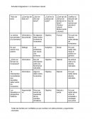 Actividad integradora 4. Un fenómeno natural