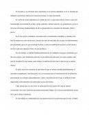 MERCADO ¿Cómo funciona el mercado?