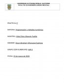 PRACTICA # 7 MATERIA: Programación y métodos numéricos