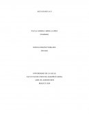 Análisis empresa AGUA HASS S.A.S