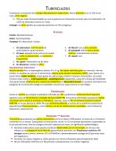 Resumen Tuberculosis