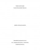 PLAN DE RELACIONES PUBLICAS