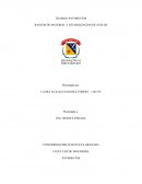 BANCOS DE MATERIAL Y ESTABILIZACION DE SUELOS