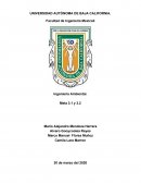 Documental “Impacto al ambiente durante la vida de un humano”