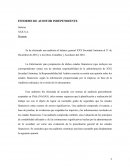 INFORME DE AUDITOR INDEPENDIENTE