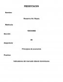 Indicadores del mercado laboral Dominicano