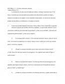 Historia Trabajo Práctico N°1