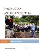 Proyecto medioambiental