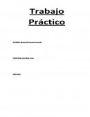 TRABAJO PRACTICO: TEORIA DE LAS AGRAVANTES Y ATENUANTES