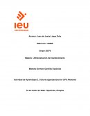 Cultura organizacional en UPS Alemania