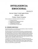 INTELIGENCIA EMOCIONAL CÁLCULO II