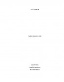 Conceptos básicos de fotografía