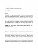 Dos gigantes de la economía, atrapados en una guerra comercial