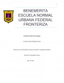 Ensayo de revisión del perfil de egreso en primero y segundo de primaria