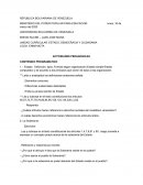 Actividades pedagogicas. Contenido programatico