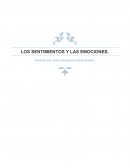 LOS SENTIMIENTOS Y LAS EMOCIONES