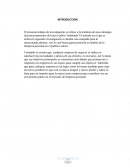 Plan de marketing jabón “multiusos”