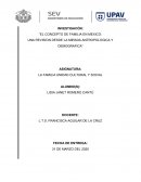 El concepto de familia en Mexico: Una revision desde la mirada antropologica y demografica