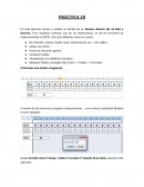 PRÁCTICA informática