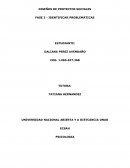 Fase 2 diagnostico psicosocial