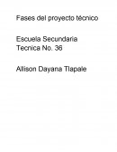 Fases del proyecto tecnico