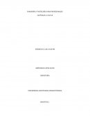 Donas, frituras, hot cakes, waffles y crepas