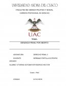 DENUNCIA PENAL POR ABORTO