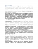 Ciclo de calvin