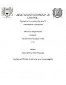 Etapas de investigación en Imagen Publica