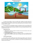 RESUMEN DE BIOLOGIA CICLO DEL AGUA