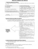 PRINCIPIOS GENERALES DEL DERECHO