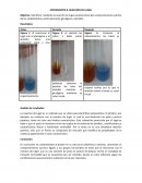 EXPERIMENTO 8. REACCIÓN DE LUGOL