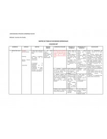 MATRIZ DE TOMA DE DECISIONES GERENCIALES COLOURS.NET. Página 1
