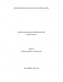 Administracion documental del entorno laboral