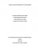 CRUELES E INJUSTOS ASESINATOS EN LA ZONA BANANERA