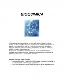 BIOQUIMICA. IMPORTACIOA DEL METABOISMO