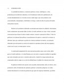 PERFIL DE TESIS SEGURIDAD INDUSTRIAL ALMACÉN DE ADUANA