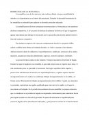 BIOMECÁNICA DE LA SENTADILLA