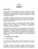 OTROS MEDIOS DE PRUEBA