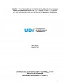 DISEÑO Y CONSTRUCCIÓN DE UN PROTOTIPO ATRAVÉS DE SENSORES REMOTOS PARA MONITOREO DE LAS VARIABLES FISICOQUIMICAS DEL AGUA EN LA CIENAGA SAN SILVESTRE DE BARRANCABERMEJA