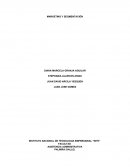 MARKETING Y SEGMENTACIÓN Empaques Flexa S.A.S