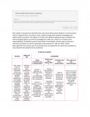 Trabajo PLAN DE ACCIÓN