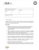 El Sistema de Directivas Escritas