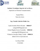 Ingeniería en Sistemas Computacionales. Equipo Rilies. Tipos de errores