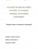 Ensayo sobre mi elección vocacional