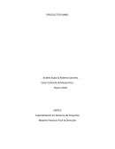 Caso Productos Ramo S.A