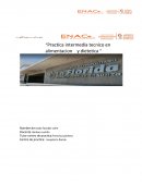 Practica intermedia tecnico en alimentacion y dietetica