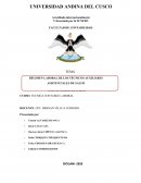 RÉGIMEN LABORAL DE LOS TÉCNICOS AUXILIARES ASISTENCIALES DE SALUD