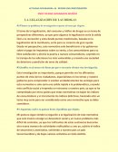 LEGALIZACIÓN DE LAS DROGAS MODULO